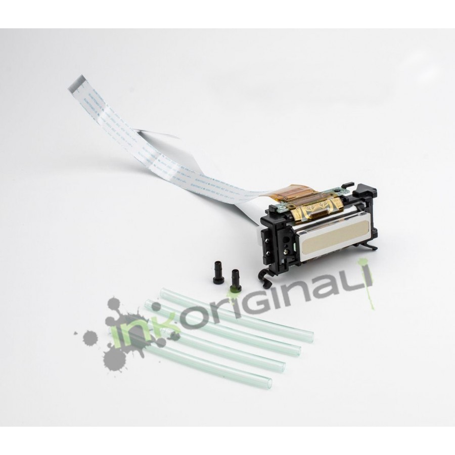 PrintHead Roland Truevis VG /SG